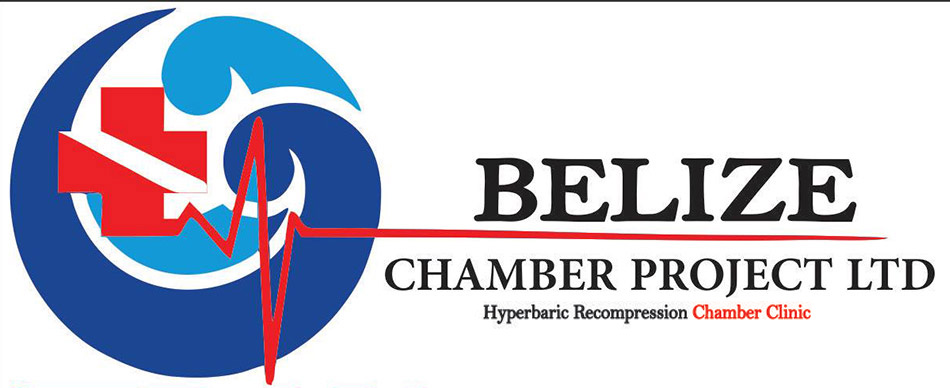 Belize Chamber Project LTD logo